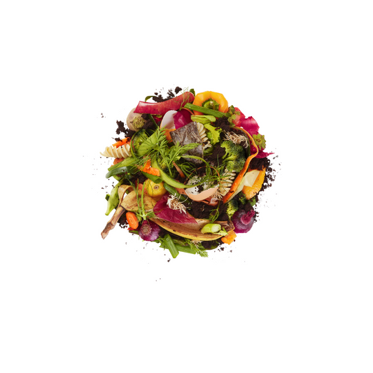 How to Choose the Perfect Kitchen Compost Bin