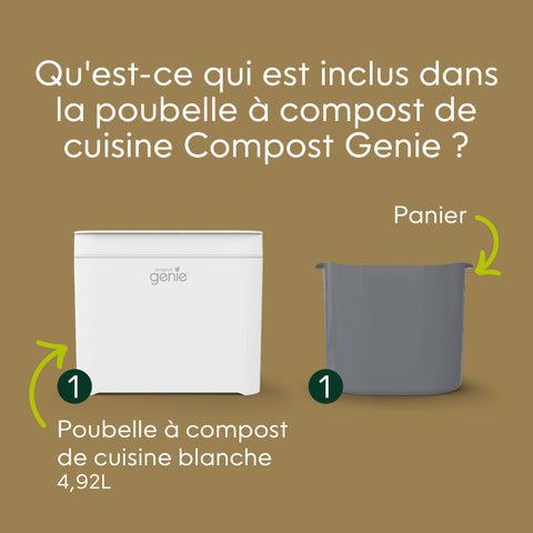 B_CT Bin_3_CA-FR
